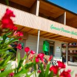 Grossauer_Homes_GrazNord_Herti2